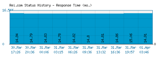 Rei.com server report and response time