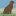 jacquielawson.com favicon