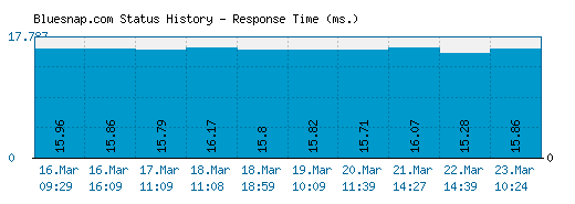 Bluesnap.com server report and response time
