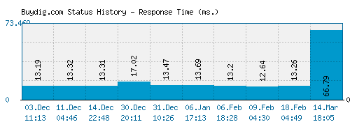 Buydig.com server report and response time