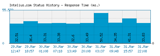 Intelius.com server report and response time