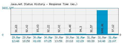Java.net server report and response time