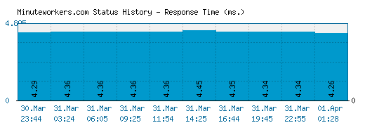 Minuteworkers.com server report and response time