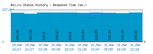 Nic.ru server report and response time