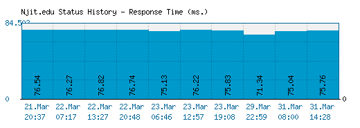 Njit.edu server report and response time