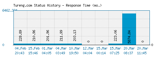 Tureng.com server report and response time