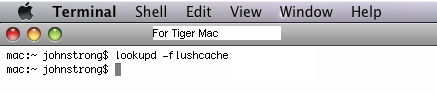 DNS Cache in Mac OS X 10.4 Tiger