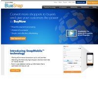 bluesnap.com screenshot