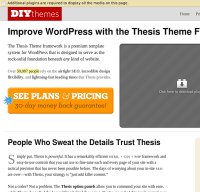 diythemes.com screenshot