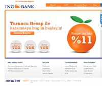 ingbank.com.tr screenshot