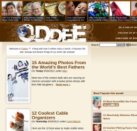 oddee.com screenshot