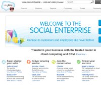 salesforce.com screenshot