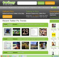 twicsy.com screenshot