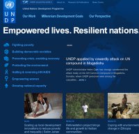 undp.org screenshot