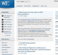 w3.org screenshot